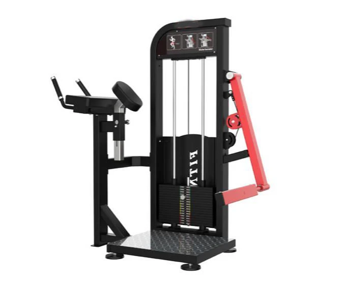 Glute Machine price